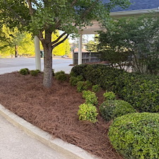 Commercial-Shrub-Trimming-And-Bed-Maintenance-In-Oxford-MS 2